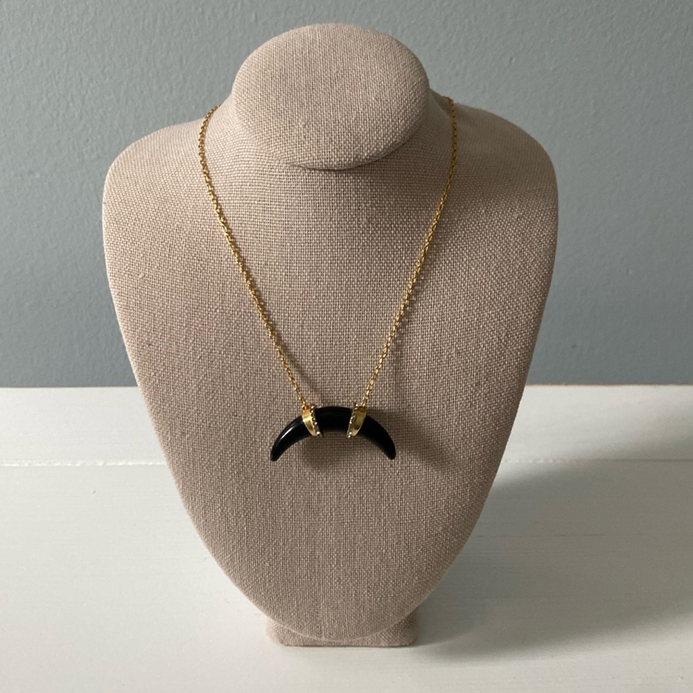 Horn necklace